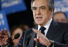 fillon