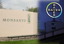 monsanto