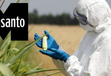 monsanto