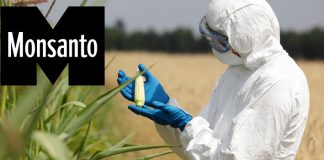 monsanto