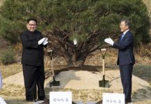 Κιμ και Μουν φύτεψαν το δέντρο της ειρήνης (Βίντεο) φύτεψαν