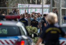 αλληλεγγύη