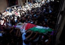 εθελόντριας