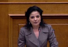παρέμβαση Παπαδημητρίου στην Πρωτοβουλία των 1-1-4