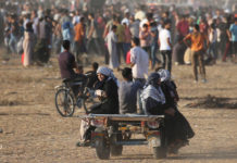 παλαιστίνη