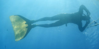 καταδύσεων