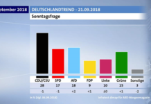 Ο γερμανικός φασισμός απειλεί ξανά την Ευρώπη: Μεγάλη άνοδος του AfD γερμανικός