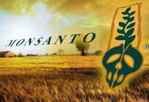 monsanto