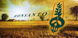 monsanto