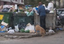 Deutsche Welle: Λόγω κρίσης οι Έλληνες πεινoύν και τα παιδιά υποσιτίζονται deutsche