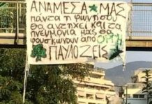 παύλο