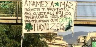 παύλο