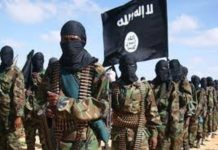 isis