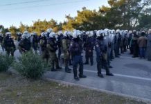 διμοιρίες