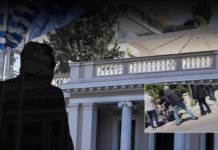 στέλεχος
