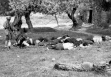 κοντομαρί