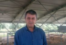 H κυβερνητική ανικανότητα