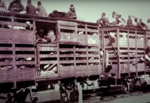 Ρητή αναφορά στους Έλληνες Ποντίους