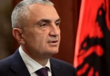 Αστυνομικοί κατά Προέδρου Δημοκρατίας