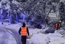 Η «Μήδεια» και το μειδίαμα