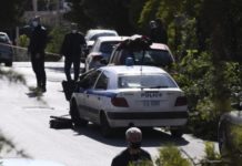 Στο μικροσκόπιο όμοια