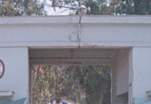 Η ΠΥΡΚΑΛ φεύγει και έρχονται