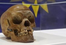 Οι ελληνικές επανορθώσεις