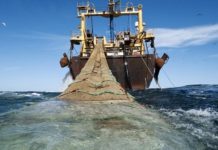 Εισβολή τουρκικών αλιευτικών στη Γαύδο