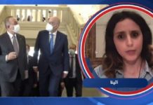 Λίβυα αναλύτρια υπερασπίστηκε την Ελλάδα