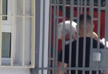 Πέτρος Φιλιππίδης