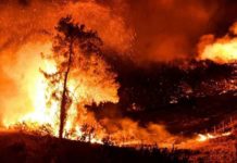 Τουρκία: 41πυρκαγιές
