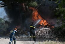 φωτιά στη Δροσιά Αχαΐας