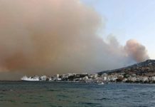 Φωτιά σε Μαρμάρι και Κάρυστο