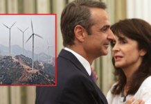Η αδερφή του πρωθυπουργού