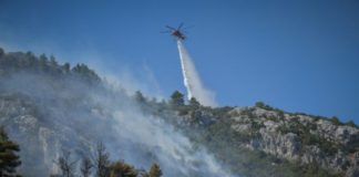 Οι φλόγες καίνε τα πάντα στην Ιστιαία