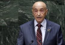 Έτσι θα φύγουν οι Τούρκοι από τη Λιβύη