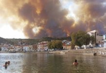 Φωτιά στην Εύβοια