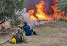 δόγμα των εκκενώσεων είναι κολοβό