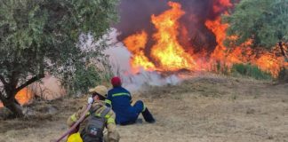 δόγμα των εκκενώσεων είναι κολοβό