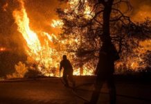 Συνεχίζουν να καίνε την Ελλάδα