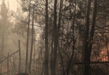 Κόστος τρομακτικό και αποτέλεσμα αμφιλεγόμενο