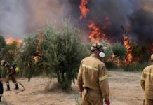 παραιτήθηκε ο διευθυντής αεροπορίας στρατού