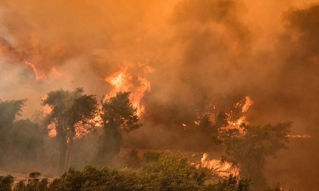 Τουρκικός στρατός καίει δάση για εξάλειψη