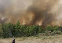 Εκκενώνονται Μαλακάσα, Πολυδένδρι και Καπανδρίτι