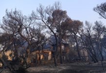 Συγκλονίζει ο πατέρας