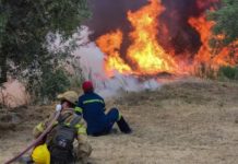 Εφιαλτική κατάσταση στην Γορτυνία