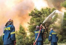 οι επενδύσεις στο Τατόι και η
