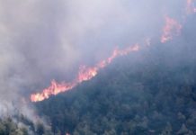 Συναγερμός στην Πυροσβεστική