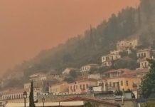 Συντονιστική Επιτροπή Πυρόπληκτων