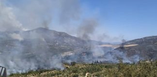 Επιτροπή πυρόπληκτων Ανατολικής Μάνης